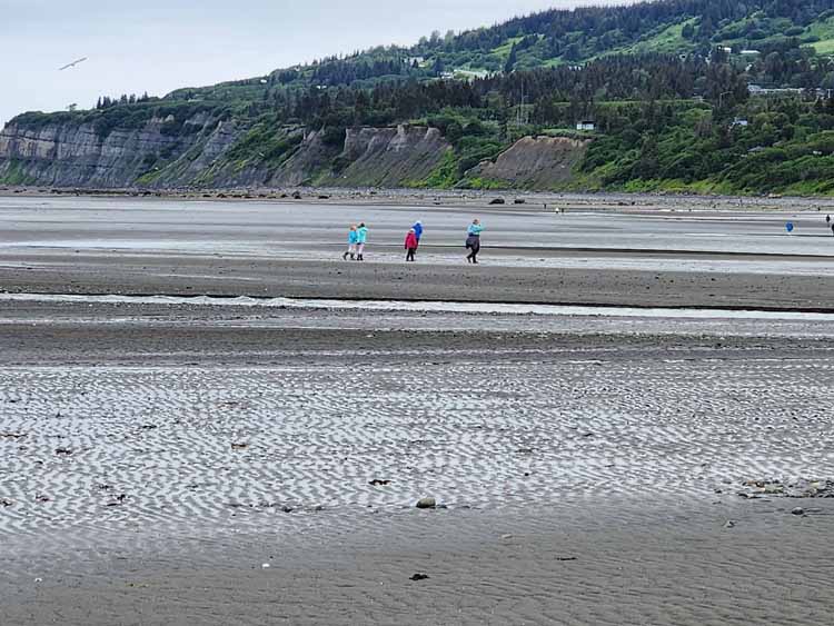 beach at low tide
